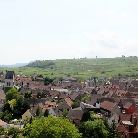 Gite Des 5 Cigognes Rouge Mittelwihr Exterior photo