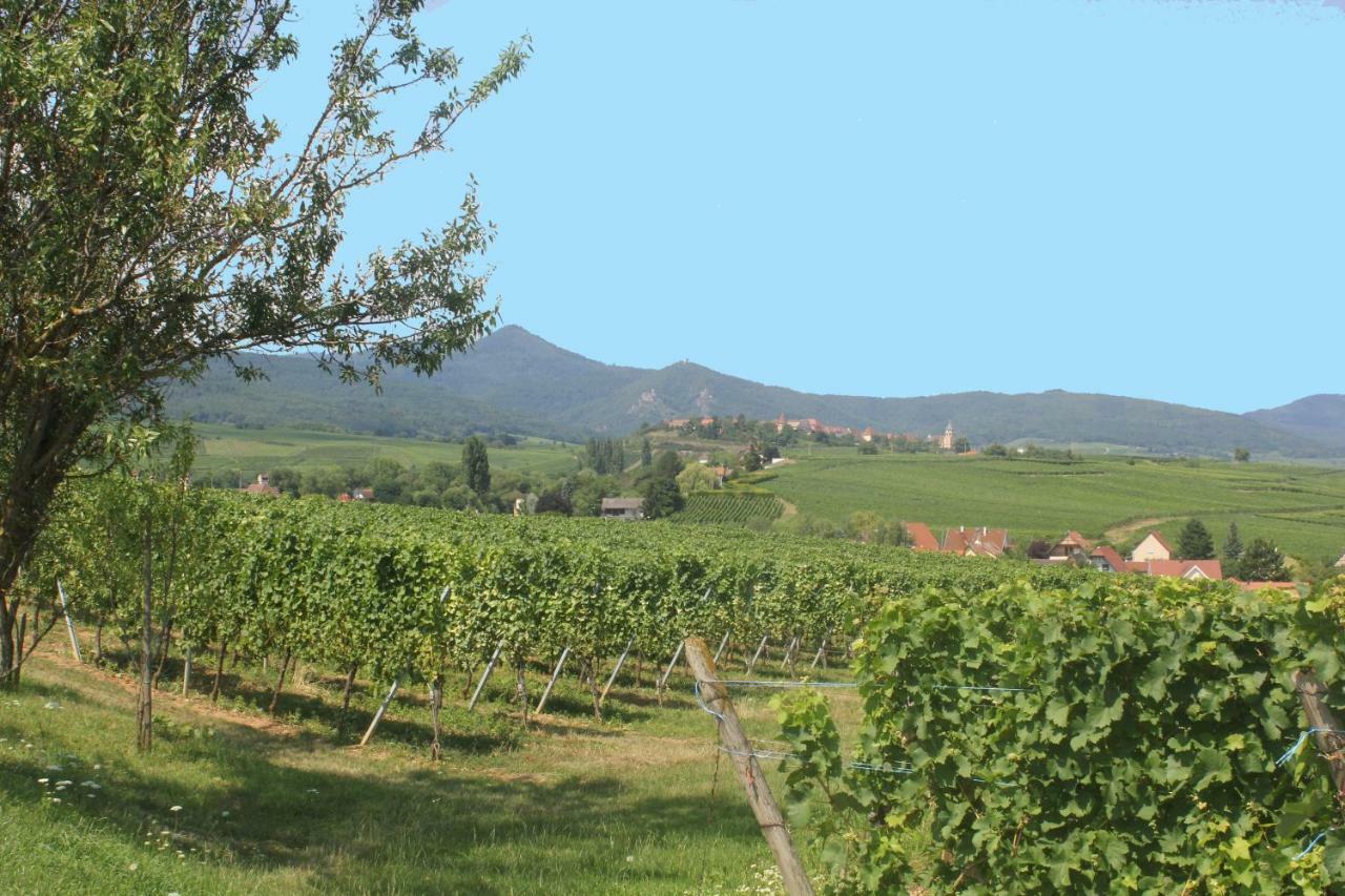 Holiday home Des 5 Cigognes Rouge *